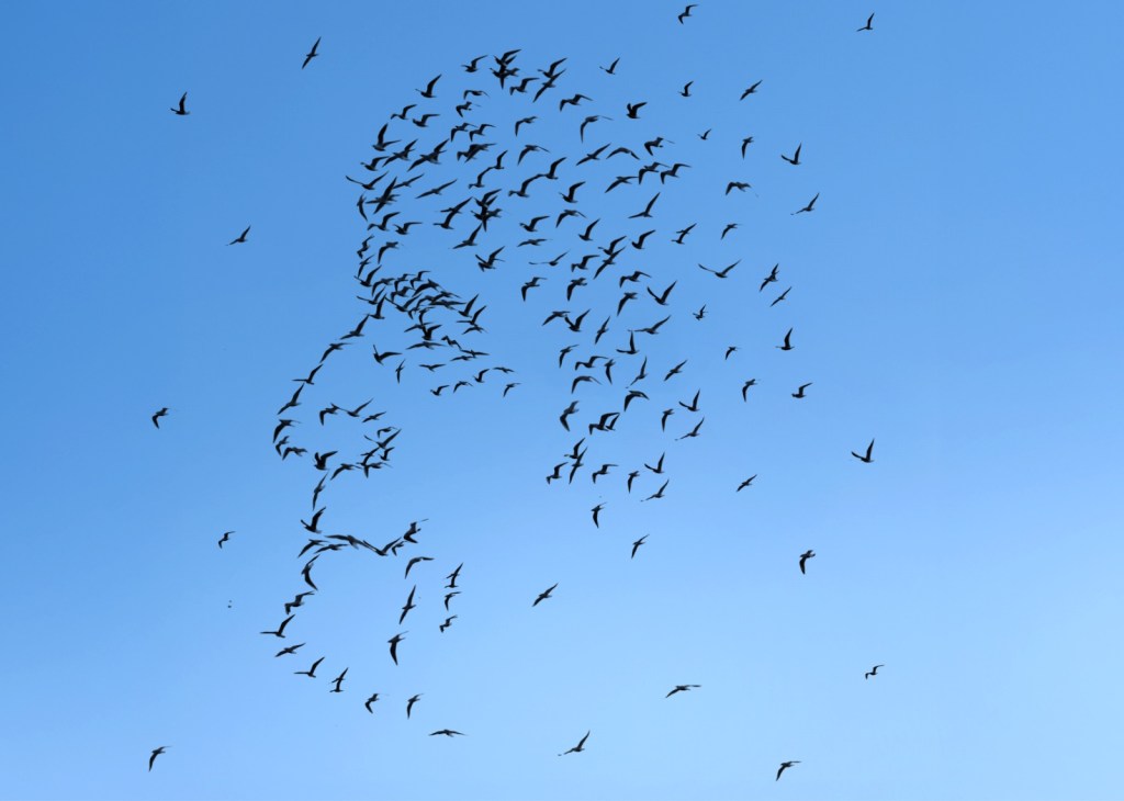 Hepimiz Hrant’ız Hepimiz&nbsp;Ermeniyiz!