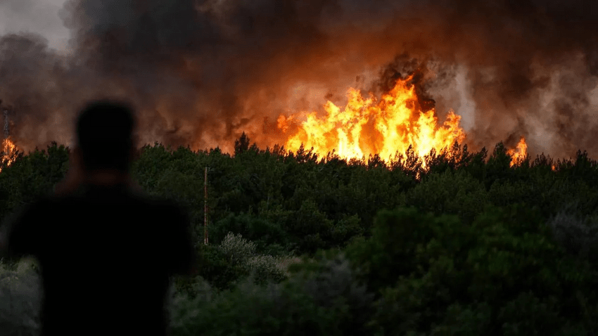 Özelleştirmeler, İhmaller ve Denetimsizlik Yangınların Asıl&nbsp;Nedenidir